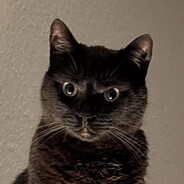 bale - steam id 76561197977090438