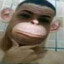 kvn