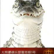 大狗嚼俱乐部阿萨拉地面雷克顿第一蛆皇