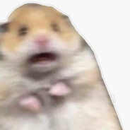 AndyWohs