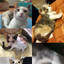 MyDoc ♥♥♥