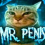 Mr. Penis
