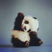 :3