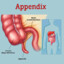 Mr. Appendix