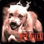 Pit_bull