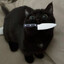 Meow^^