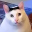 Tom