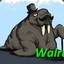 Walrus