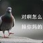 咕咕咕