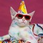 partycat