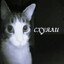 СХУЯЛИ