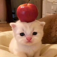 张元英