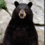 Bearsen:)