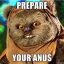 A Horny Ewok