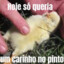 Hj Só Qria Um Carinho No Pinto