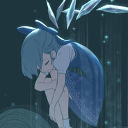 CirnoBaka⑨