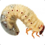 Brossel die Made aus Madistan