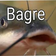 Bagre