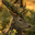 bingledangle26 avatar