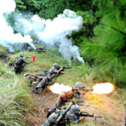 灯塔昨夜落东风