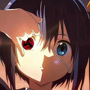 一只爱干饭的猫