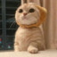Wanan_zZ