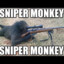 Sniper Monkey