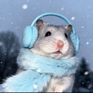 让冰狗眯会儿吧