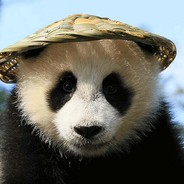 熊猫熊猫你在吗