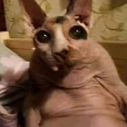 マンコ、お尻、うんこ