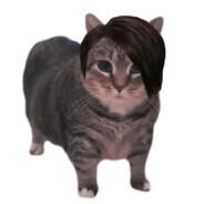 误以恶小而不为