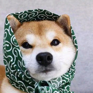 小伙子该还花呗了