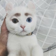 琳jo拉北鼻_(:з」∠)_