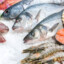 Peixaria Gourmet