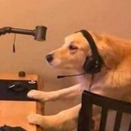 Sk - steam id 76561198007076141