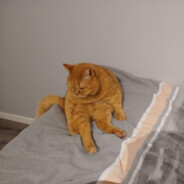 Young_SzayOficjalnie