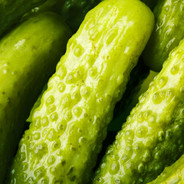 DillPickle