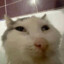 ᵜBebetonᵜ