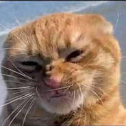 v8xxxxxxxxxxxxxxxxxxxxxxxxxxxxxx