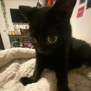 enclave butthole (≧ヮ≦)