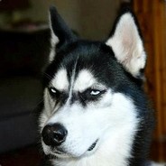 马氏建材常务副经理