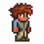 Terrarian