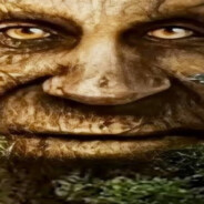 мудрое дерево