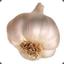 random_garlic