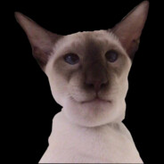 тю тю тю тю тю тю - steam id 76561199107775170