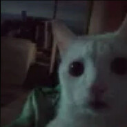 мистер модератор