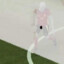 VAR