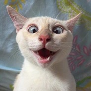 我正热爱生活呢