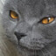Katinelis