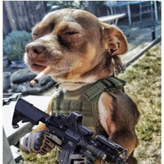 CACHORRO FUZILEIRO
